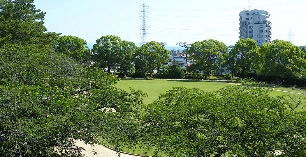 自由広場｜トップイメージ1